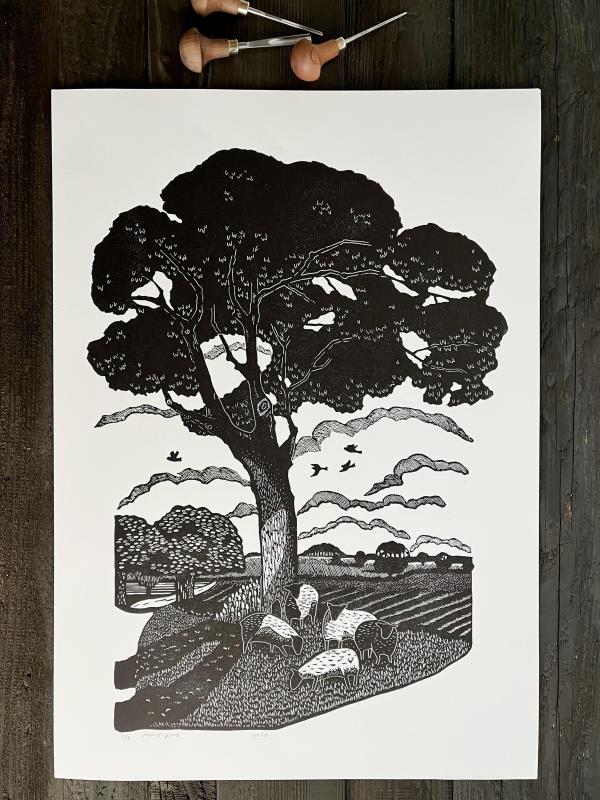 August-Land